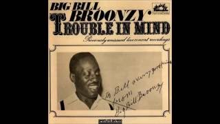 Big Bill Broonzy - Live Recordings