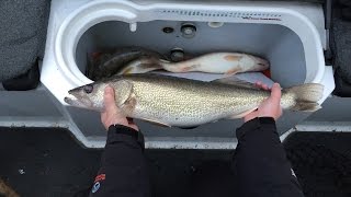 preview picture of video '11/14/14 Lake Francis Case SD Walleye Fishing'