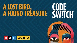 A lost bird, a found treasure | Code Switch