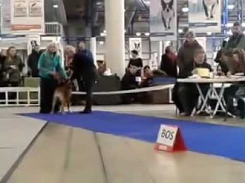 8. M�rts 2015 12:18