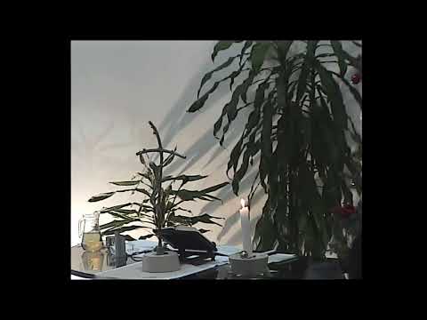 Emmaus Evangélikus Egyházközségélő közvetítés