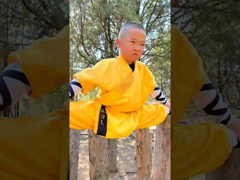 Shaolin monk Training #kungfu #shaolinmonks #martialarts #wushu #shaolinkungfu #shaolintemple