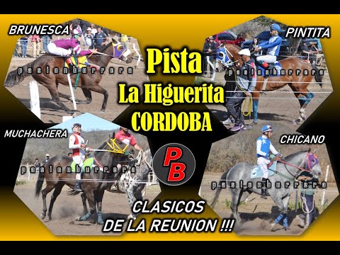 CLASICOS PISTA LA HIGUERITA - CORDOBA (10-11-2022)