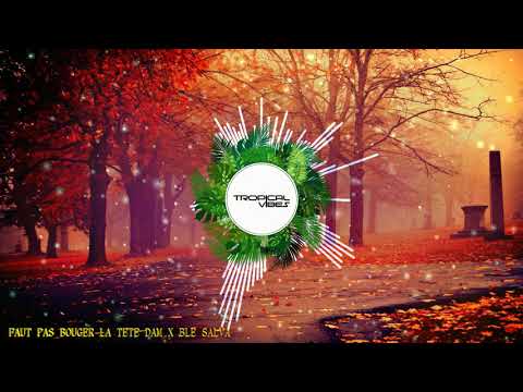 FAUT PAS BOUGER LA TETE DAM X BLE SALVA