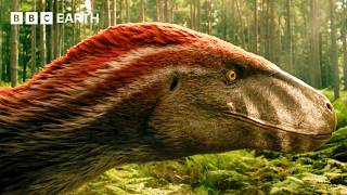Utahraptors Hunting in the Forest | Walking with Dinosaurs | BBC Earth