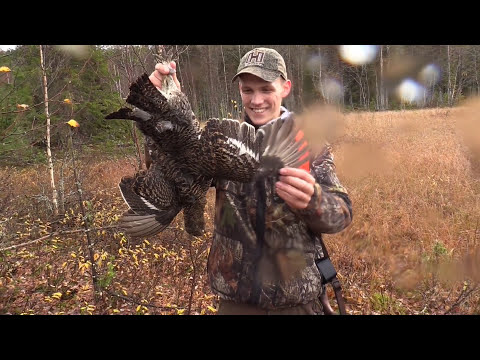 Black grouse and capercaillie hunting in Sweden - Trailer - Hunter Brothers
