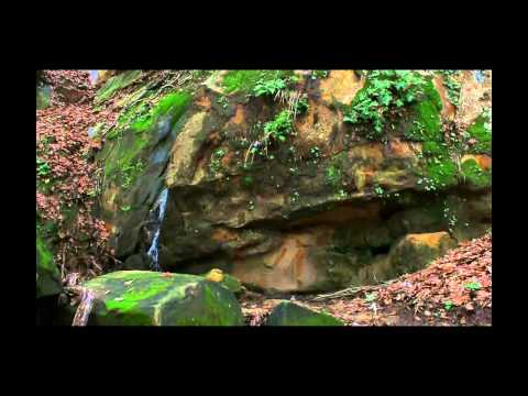 Cascatella Sabbeglia (Ferruzzano Saccuti) -RC-