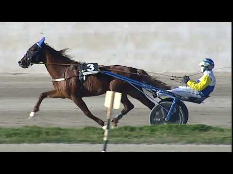 Napoli Trotto 17/03/2023 - 5ª corsa