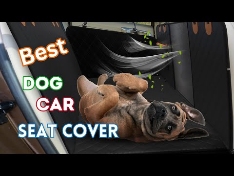 Top 5 Best Dog Car Seat Cover For Back Seat 2024