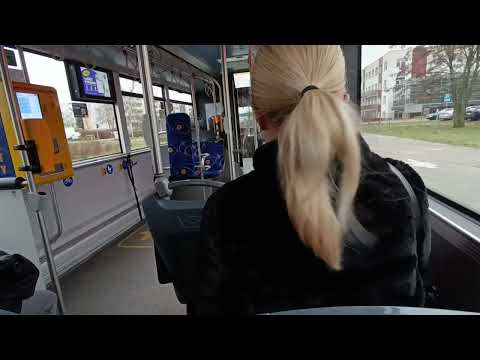 Solaris IV Gen #667 MZK Toruń Linia 31 Kierunek Kolankowskiego-Barbarka (Wyszyńskiego)