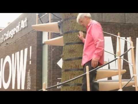 Designers build spiral staircase to the treetops Video...