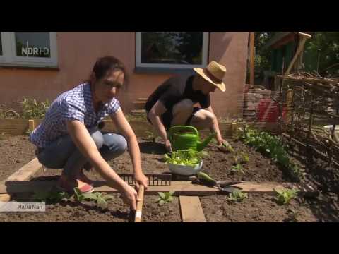 (Neue Doku!) NaturNah - Neustart im Kleingarten [HD]