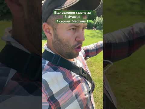Расчистка сада, уборка участка, стрижка травы, бурьянов, обрезка деревьев: Осокорки, Березняки, Славутич - фото 2 - id-p2483178840