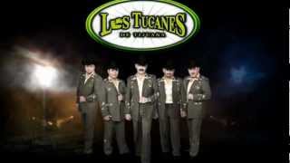 Los Tucanes de Tijuana LIVE, Amor Compartido