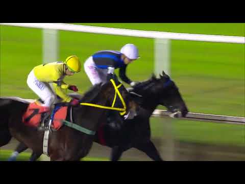 220417 c11 - D QUERUZA