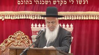 008מצוות ומדות-בראשית י''ט כ''א (הרב יורם סרי) - התמונה מוצגת ישירות מתוך אתר האינטרנט יוטיוב. זכויות היוצרים בתמונה שייכות ליוצרה. קישור קרדיט למקור התוכן נמצא בתוך דף הסרטון