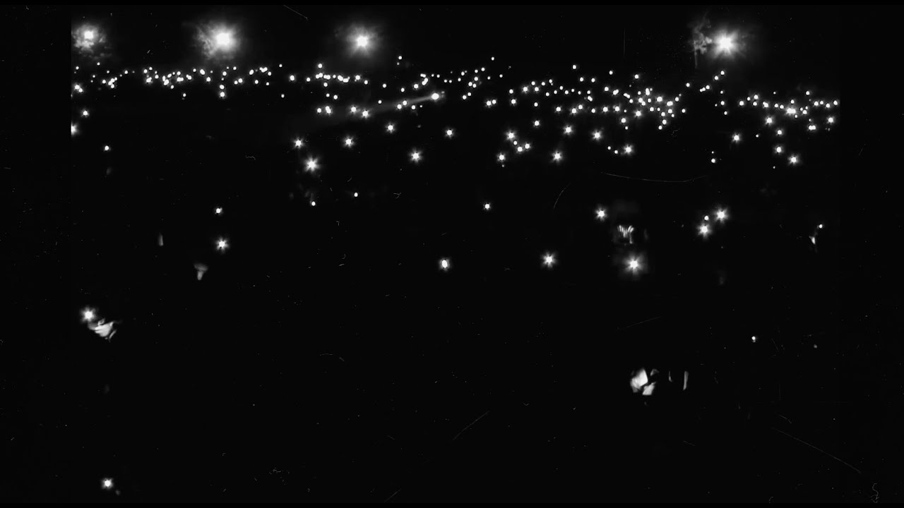 Roses in Winter- Rexband