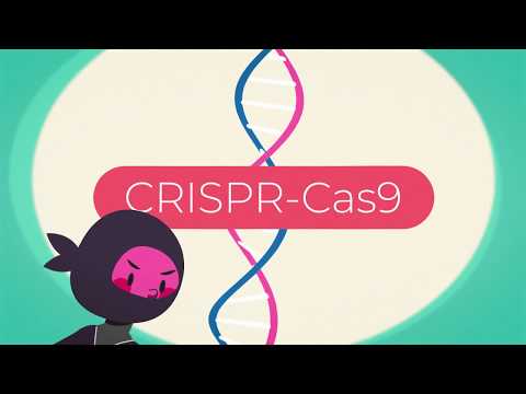CRISPR: All You Need to Know