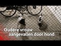 Oudere vrouw verliest veel bloed na aanval door honden in Waalwijk
