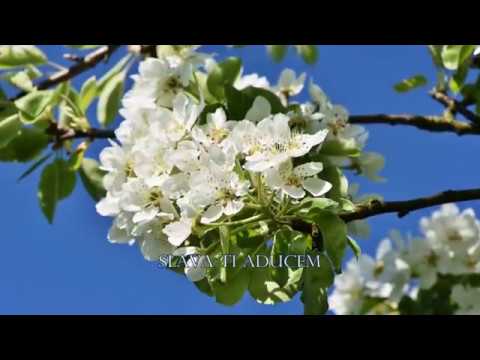 Grupul Iehova Nisi - Slava-Ti aducem