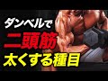 【筋トレ】ダンベルで腕を太くする筋トレ お勧め3種目【ビーレジェンド プロテイン】