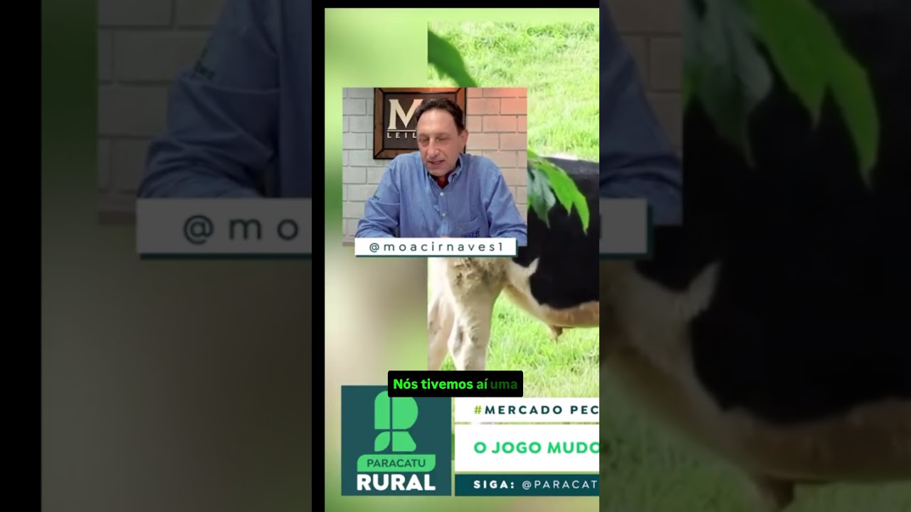Produtor segura o boi e frigorífico fica sem escala