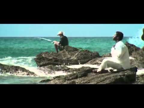 Alegría,ritmo y naturaleza