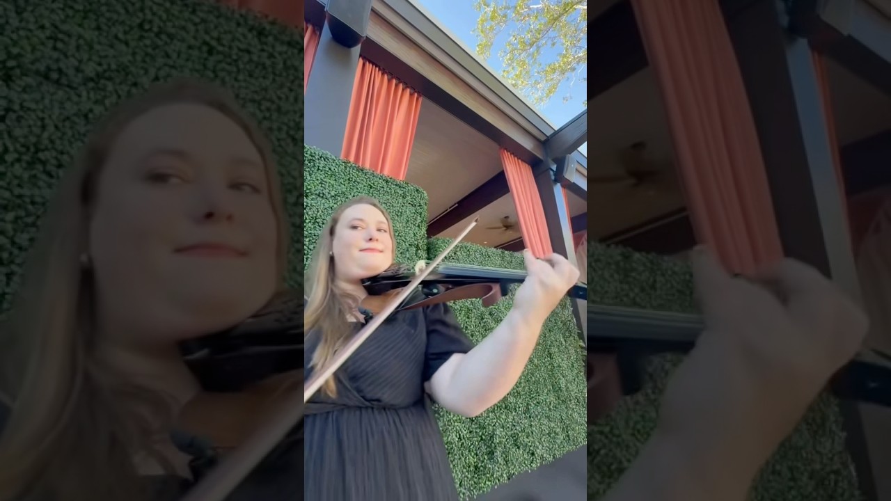 Promotional video thumbnail 5 for Rabinowitz Music