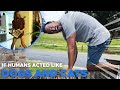 If Humans Acted Like Dogs And Cats
