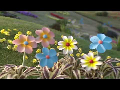 Teletubbies Colours Green - Talking Flowers
