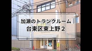 YouTube動画