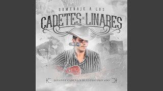 Tu Vida No Me Importa