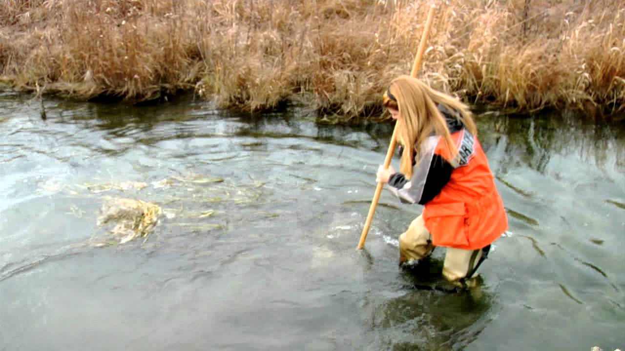 Water Docs: Dr. Elisabeth Harrahy