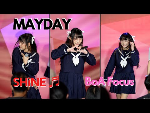 20220129 MAYDAY - Shine ♬ BoA Mayday @Donki 4k Fancam