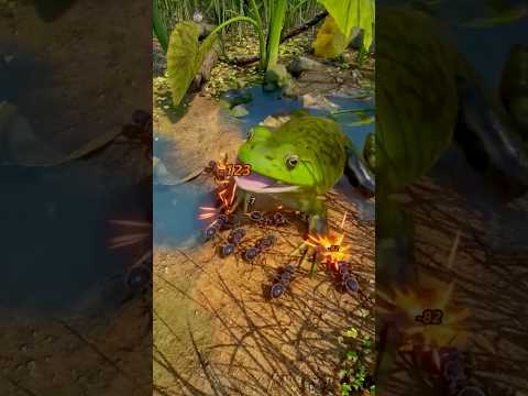 Giant Frog Hunt for the Queen Ant
