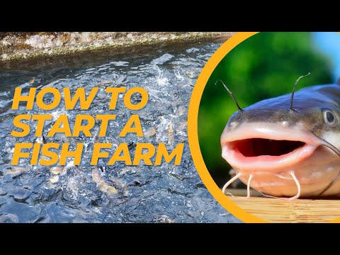 , title : 'How to start Fish Farming - Fish Farming for Beginners'