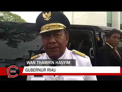 Dilantik Presiden Jadi Gubernur Riau Definitif, Wan Thamrin: Alhamdulillah