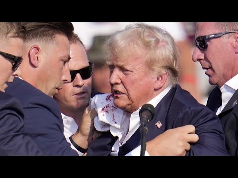 FBI files reveal new details about attempted Trump assassin