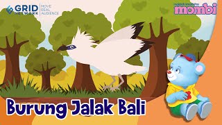 Download lagu Belajar dan Mengenal Hewan - Burung Jalak Bali mp3 Download lagu Belajar dan Mengenal Hewan - Burung Jalak Bali mp3