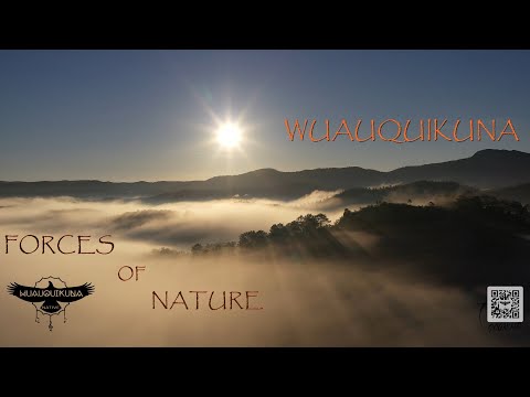 3 Hours of Nature Sounds | Perfect for Relaxation and Stress Relief | Sleep Music | Meditation Music