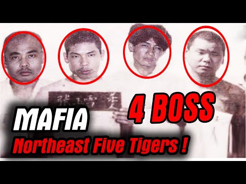 How The CHINA Mafia Actually Works | How Crime Works? | Northeast Five Tigers | Documentary