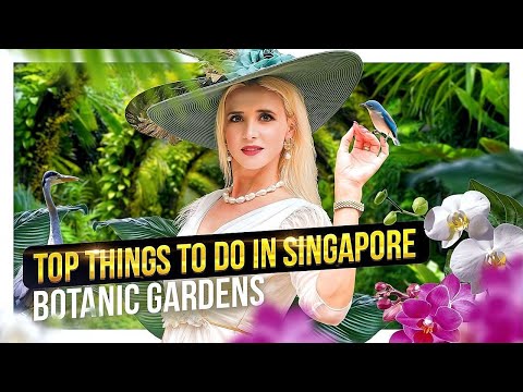 Best things to do in Singapore: Singapore Botanic Gardens