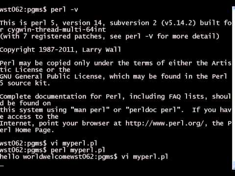 Perl scripting