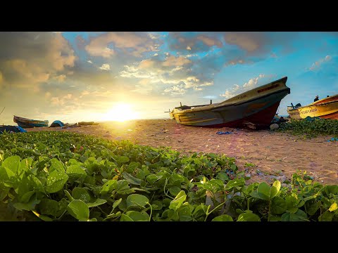 Beaches In Dehiwala-Mount Lavinia For A Laid-Back Trip! - Dehiwala Beach, Colombo