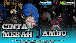 Download lagu ❗DJ MBEROT❗CINTA MERAH JAMBU ‼️spesial PUTRO SUKO JATI mp3