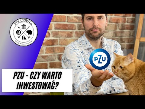 PZU - czy warto inwestować?