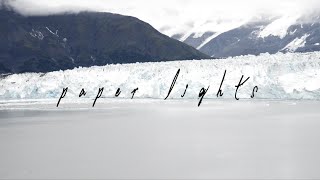 Paper Lights / We're a Lot Like Trees / Official Lyric Video