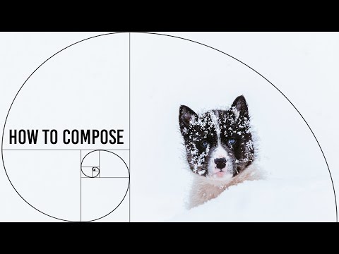 Improve your photography composition easily...