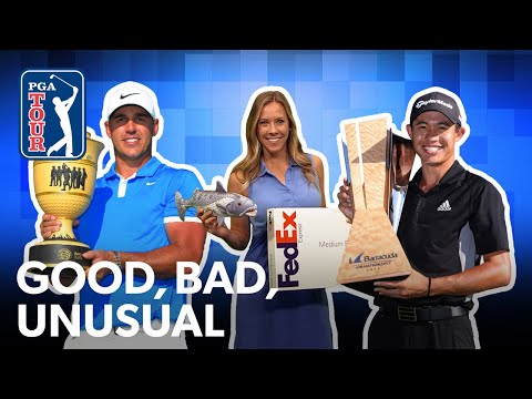 Koepka cleans up, Morikawa continues rookie dominance and Judge the golf dog takes over