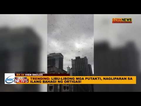 Reduxine mga address ng mga parmasya kung saan maaari kang bumili ng walang reseta Kung magkano ay Xenical Reduxine